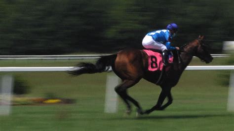 Live horse racing begins at Kentucky Downs without spectators - WNKY News 40 Television