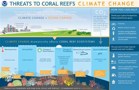 Roosevelt Severe & Unusual Weather: Threats to Coral Reef