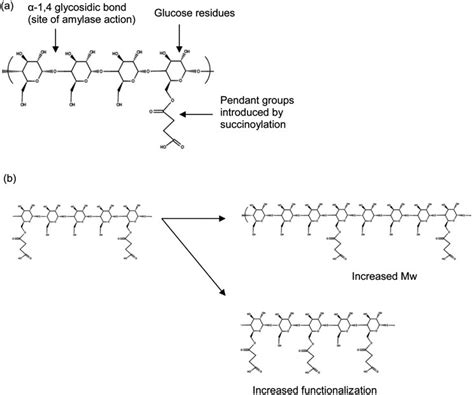 Diagrammatic representation of succinoylated dextrin showing (a)... | Download Scientific Diagram