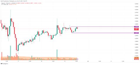 DOGE Price Analysis for February 19