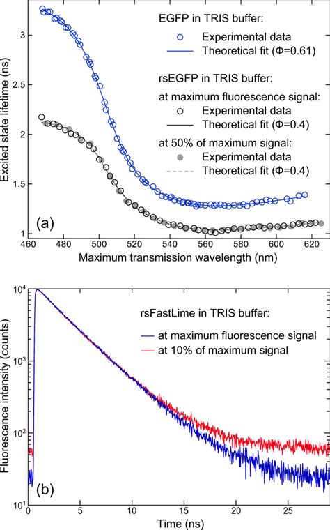 Excited-state lifetime measurements of fluorescent proteins a... | Download Scientific Diagram