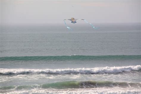 Manresa State Beach in Watsonville, CA - California Beaches