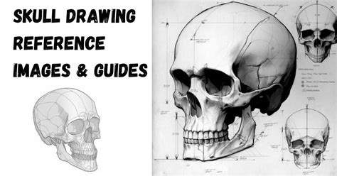 27 Awesome Skull Drawing Reference Images - Artsydee | Drawing, Painting, Craft & Creativity