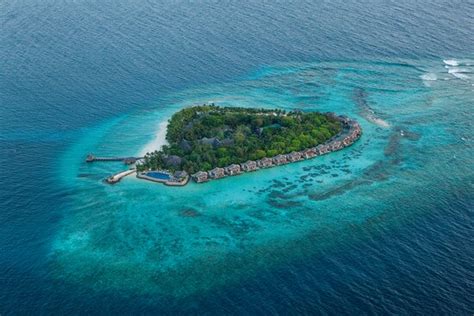 Room, food and activities - Review of Taj Coral Reef Resort and Spa Maldives, Hembadhu, Maldives ...