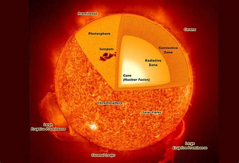 Il cuore del Sole ruota in 7 giorni - Focus.it