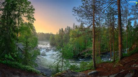 Lapland, Finland, Kitkajoki River, Oulanka National Park, trees, viewes ...