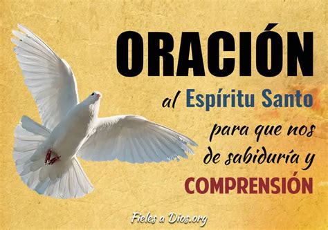 Oración al Espíritu Santo para que nos dé sabiduría y comprensión ...