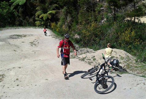 Conservation Week at Kaiteriteri Mountain Bike Park | Conservation blog