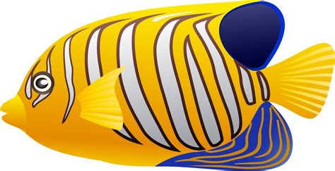 Download Free Png Yellow Fish Png Images Transparent - Yellow Fish Clip ...