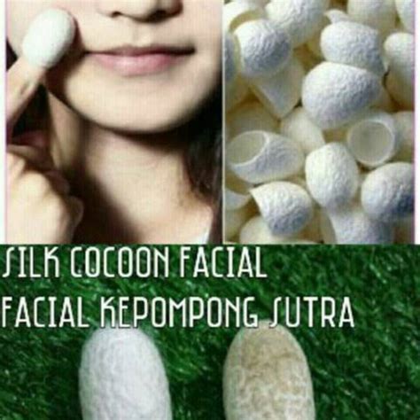 Jual Cocoon facial/facial kepompong ulat sutra | Shopee Indonesia