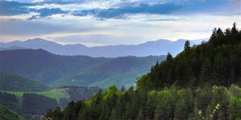 Dilijan National Park - Caucasus Nature Fund