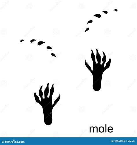 Mole Footprint, Mole Track. Mole Steps. Handprint in Black Color. Vector Illustration Isolated ...