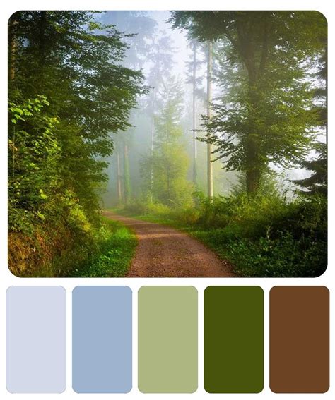 Outdoor color scheme | Outdoor color palette, Color palette, Color