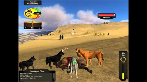 WolfQuest Multiplayer - Bull hunting - YouTube