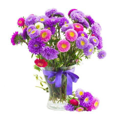 Bouquet Of Violet And Pink Aster Flowers Stock Image - Image: 33745873