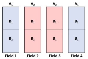 What is a Split-Plot Design? (Explanation & Example)