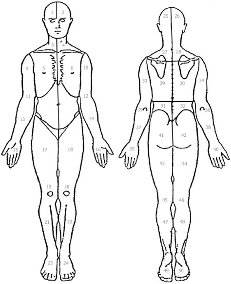 Body Diagram