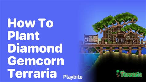 How to plant Diamond Gemcorn in Terraria - Playbite