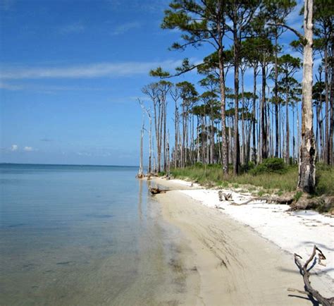 St. George Island State Park in St. George Island Florida