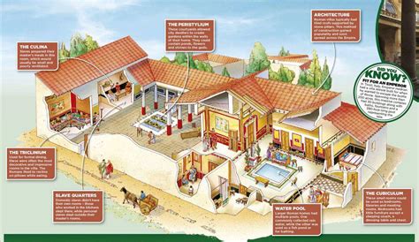 Inside A Roman Villa - History Revealed | Scribd