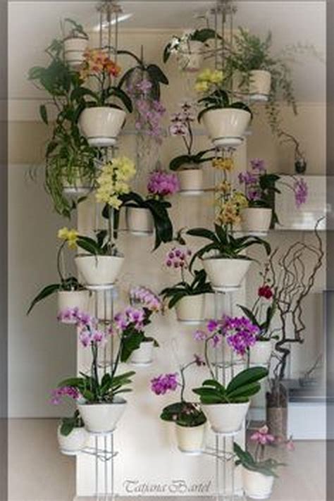 Going with Perfection by Decorating House with Hanging Orchids - GoodNewsArchitecture | Hanging ...