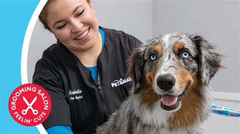 PetSmart Pet Grooming Locations - Nanaimo,