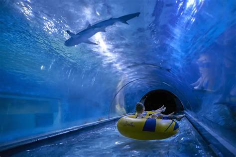 Aquapark Reda - aquapark z rekinami | Best Plan Travel