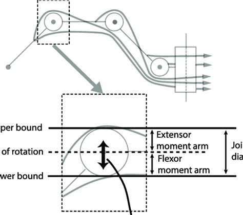 Illustration of perturbations of the joint center of rotation ...