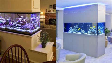 Aquarium In The Wall Collectisale | dpise2022.dps.uminho.pt