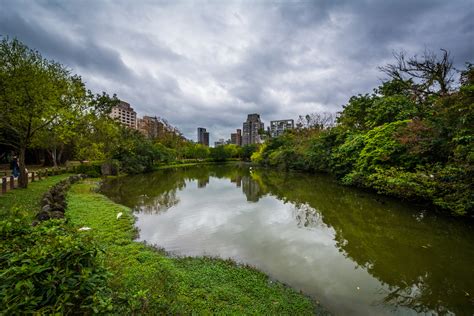 Da'an Forest Park | Taipei, Taiwan Attractions - Lonely Planet