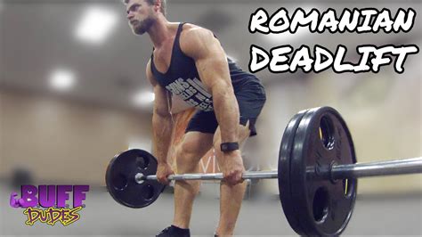 14 Best Stiff Leg Deadlift Alternatives (Easier and Effective ...