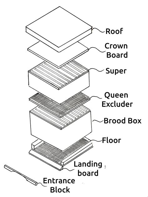 Hive Structure - Dorchester and Weymouth Bee Keepers Association