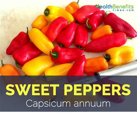 Sweet Peppers facts and health benefits | Stuffed sweet peppers ...