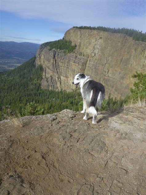 Hiking Enderby Cliffs. #HICphotos | Canadian adventure, Adventure, Hiking