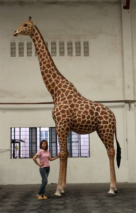 Life-Size Giraffe 18 Ft. 18ft Adult Giraffe Statue