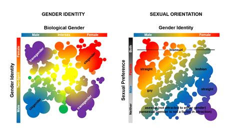 Between the (Gender) Lines: the Science of Transgender Identity