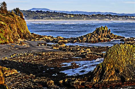 Rocky Ocean Shore Free Stock Photo - Public Domain Pictures