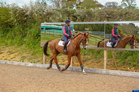 How Arena Mirrors Can Help Your Training - Smart Equine