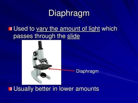 PPT - Microscope Parts and Functions PowerPoint Presentation, free download - ID:1164888