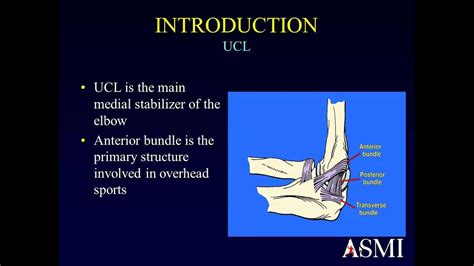 UCL Reconstruction Surgical Technique and Follow-up of Over 1200 Tommy ...