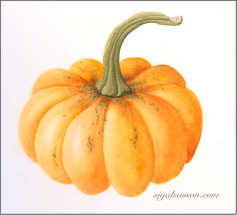 Pin by Judith Hembree on Colored Pencil Botanical | Watercolor pumpkins, Pumpkin illustration ...