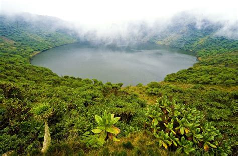 Hiking Mount Bisoke in Rwanda