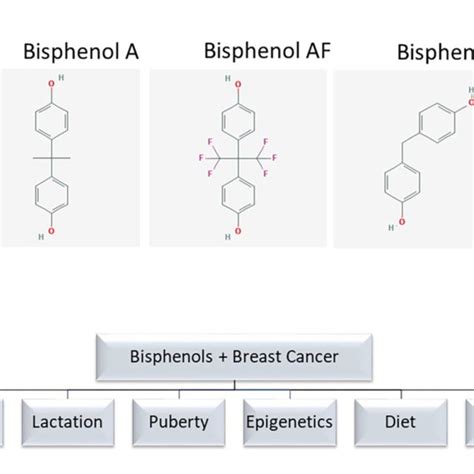 | (A) Chemical structure of bisphenol analogs. Chemical structures are ...