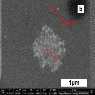 (a) FESEM micrograph of an amorphous silicon thin film, (b) FESEM ...