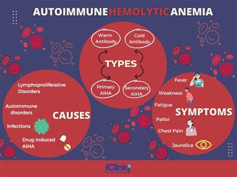 Autoimmune Hemolytic Anemias - Types | Causes | Symptoms | Diagnosis ...