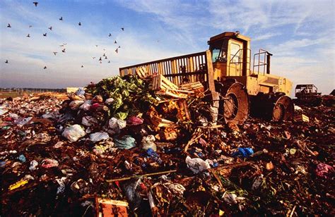 The Effects of Improper Waste Disposal – ERG Environmental Services