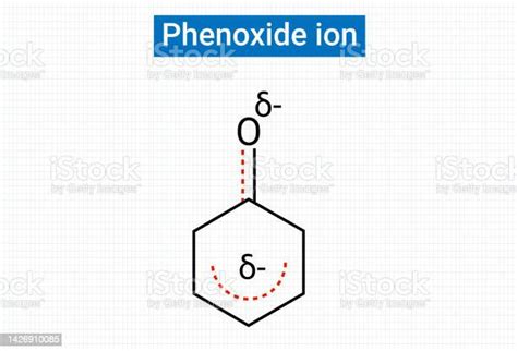 Chemical Structure Of Phenoxide Ion Stock Illustration - Download Image Now - Agricultural ...