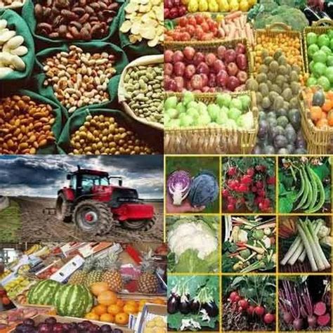 Agricultural Products in Chennai, RSK International | ID: 1943115697