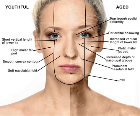 Cosmetic and Reconstructive Surgery of the eyelids, orbits and tear ducts