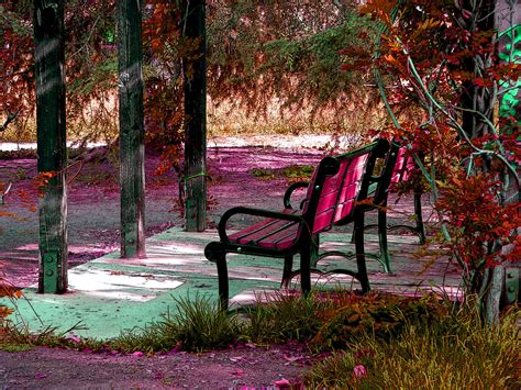 Park Bench In Autumn Free Stock Photo - Public Domain Pictures